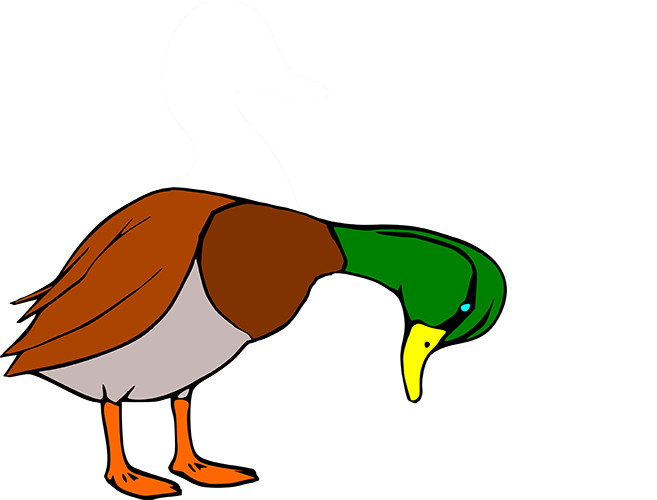 Duck Head Down