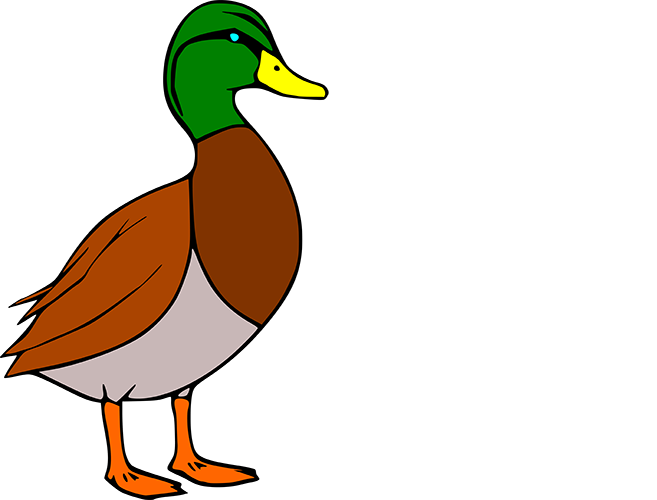 Duck Head Up