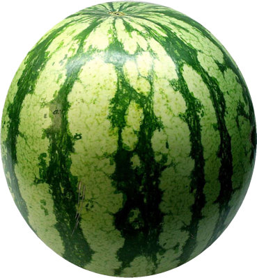 عشب